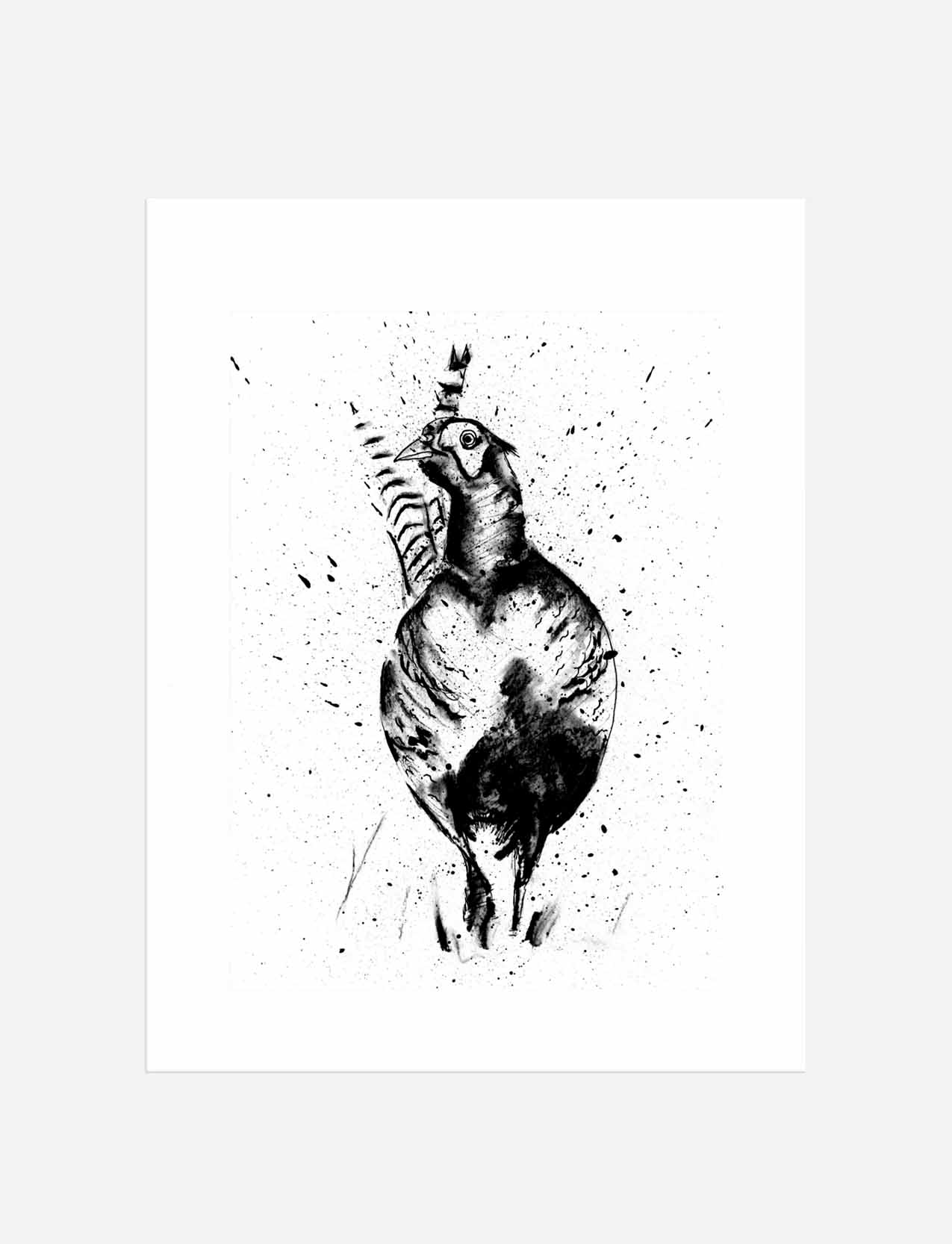 "The Strong Pheasant" (A3 Mounted Print)