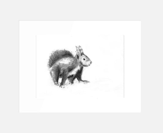 "The Squirrel" (A3 Mounted Print)